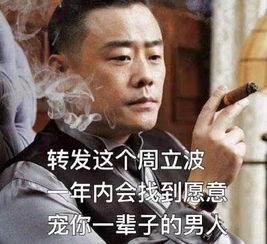 周立波凤姐表情包,网络笑谈中的文化现象